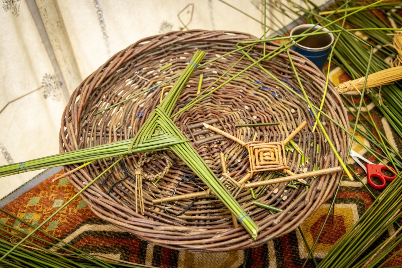 St Brigid's crosses made from fresh rushes